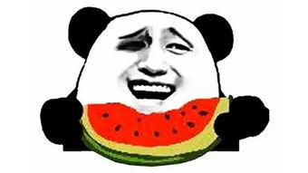 吃瓜表情包 瓜哥带你吃瓜搞笑视频