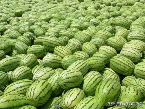 今日吃瓜首页 热门大瓜在线,热门大瓜在线，揭秘娱乐圈最新动态